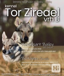 vrh "B" Tor Zireael
